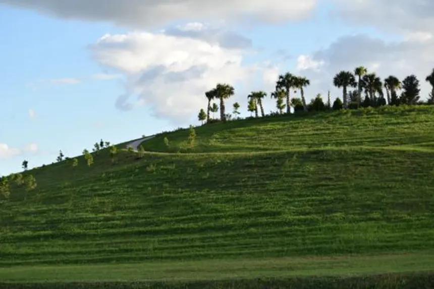 Celery Fields – Picture of The Celery Fields