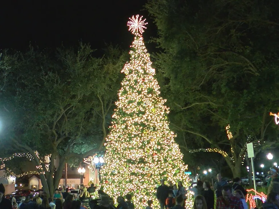 Christmas Tree Lighting At Five Points Park In Sarasota Florida