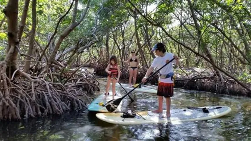 Sarasota Paddleboard Company