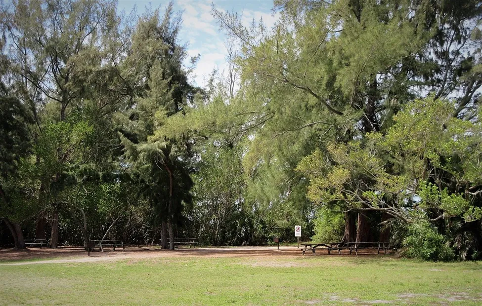 South Lido Park (Sarasota)