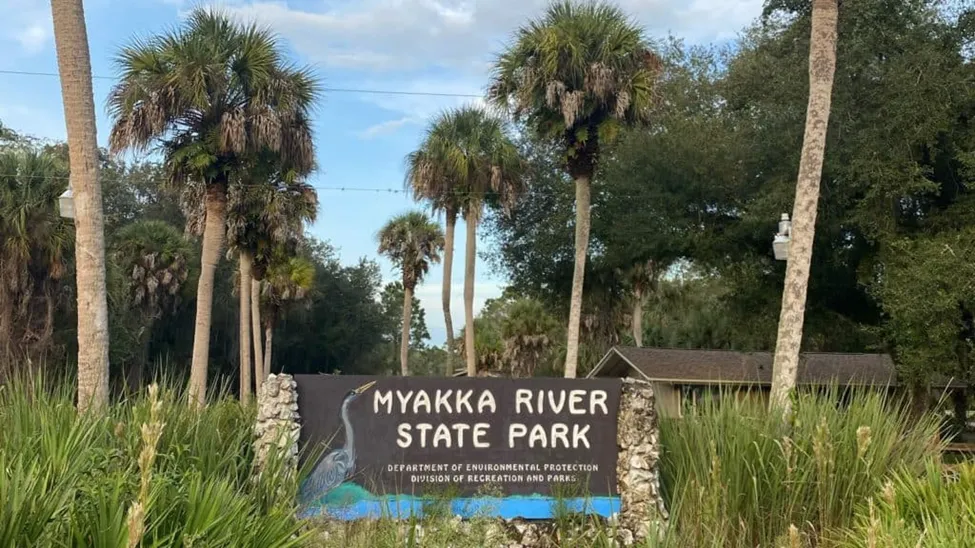 The Wildlife at Myakka River State Park in Florida