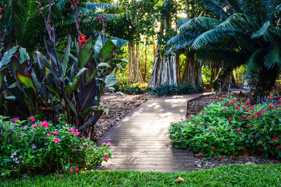 Marie Selby Botanical Garden In Sarasota Florida