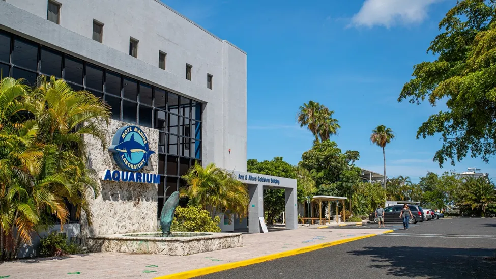 The Mote Aquarium In Sarasota Florida