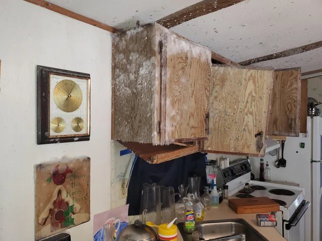 Does Mobile Home Insurance Cover Mold in Florida?